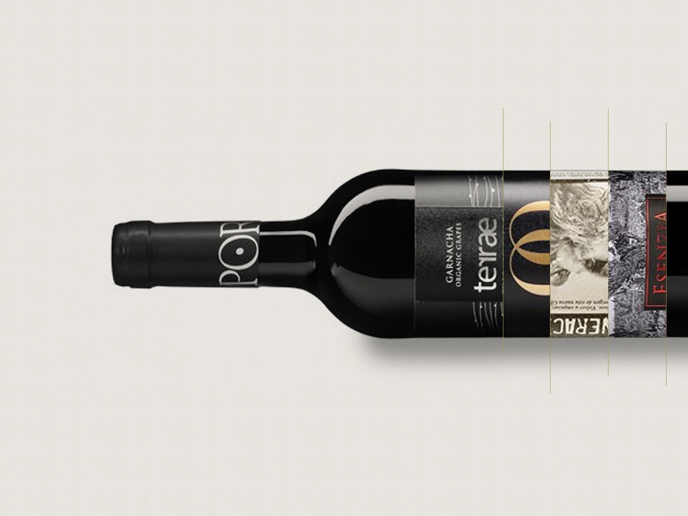 Pagina web Bodegas Tempore