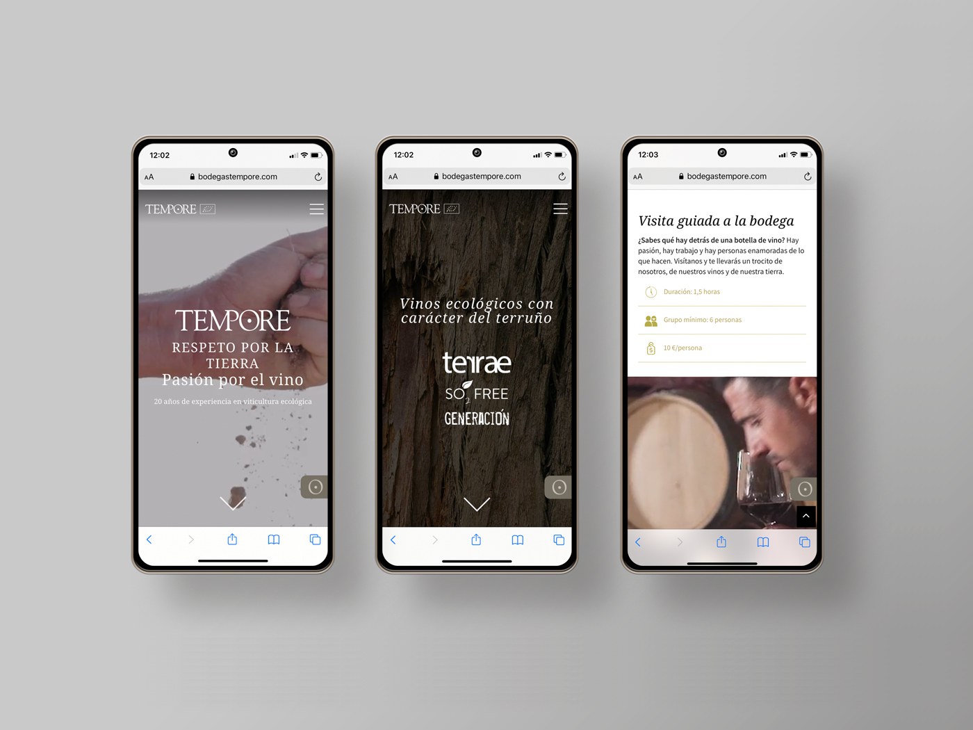 Pagina web Bodegas Tempore